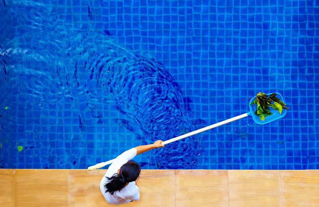 pool maintenance One of the best landscaping companies in Dubai