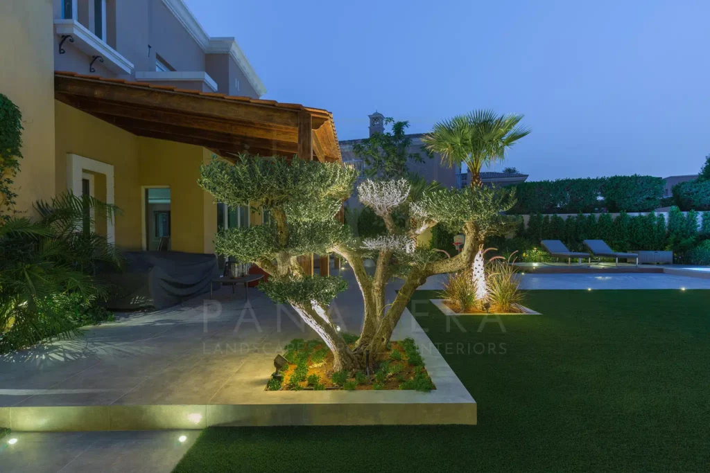 swimming pool companies in dubai