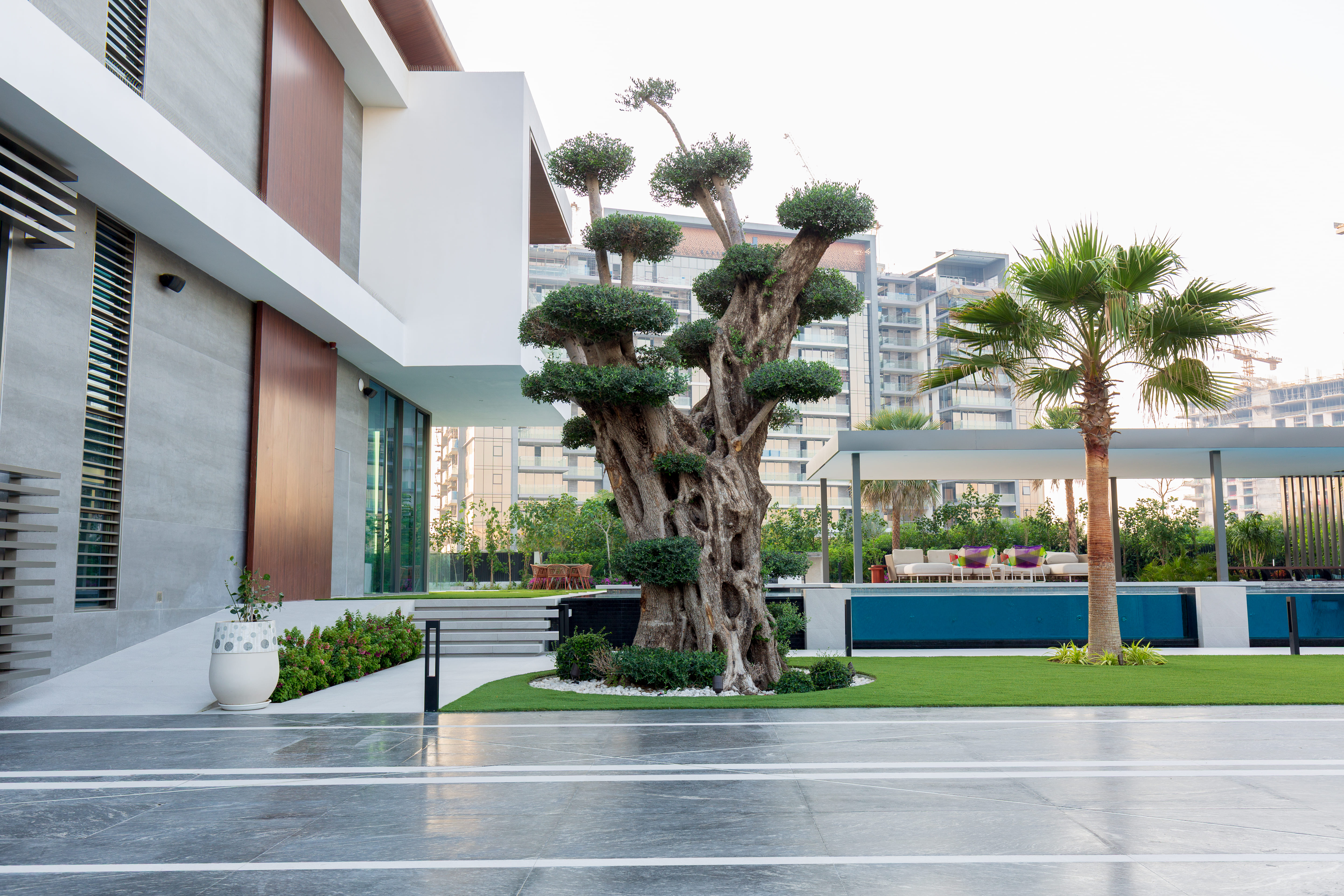 Luxury villa pool and garden in Dubai